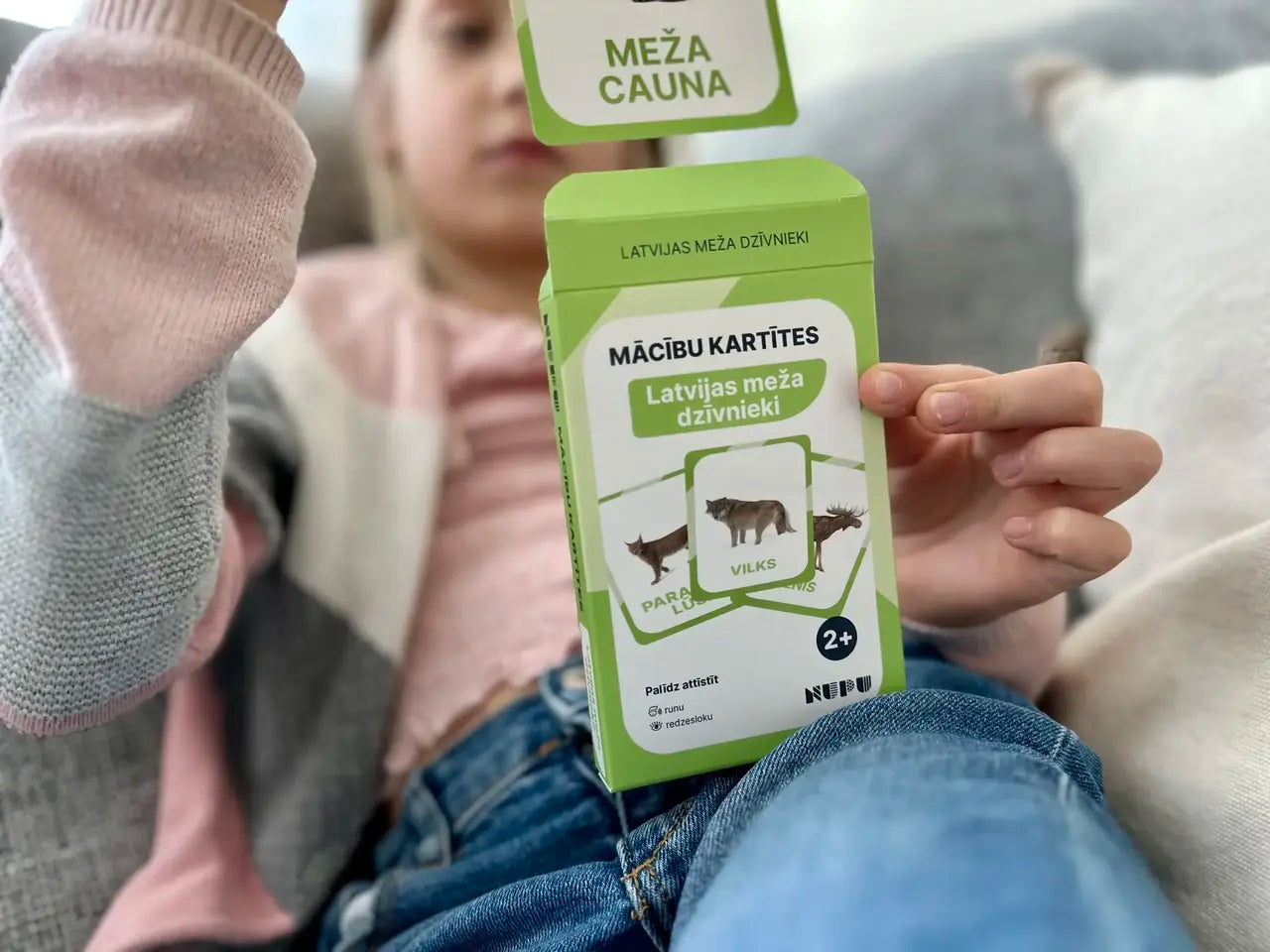 Mācību kartītes "Latvijas meža dzīvnieki"