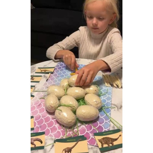 Dinozaura olas, arheoloģisko izrakumu komplekts, 12 gab.