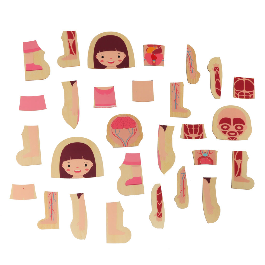 Koka puzle "Cilvēka uzbūve", meitene