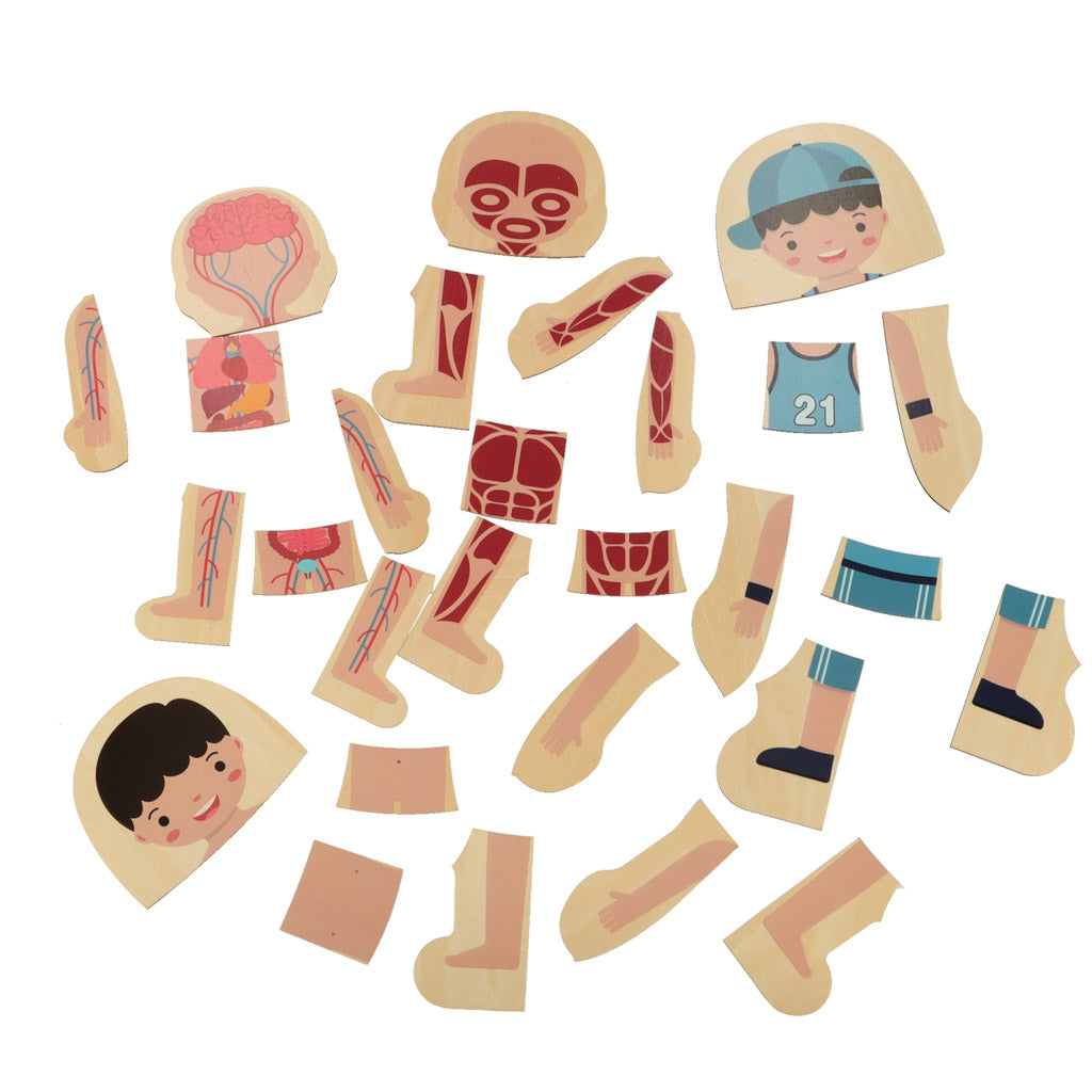 Koka puzle "Cilvēka uzbūve", zēns