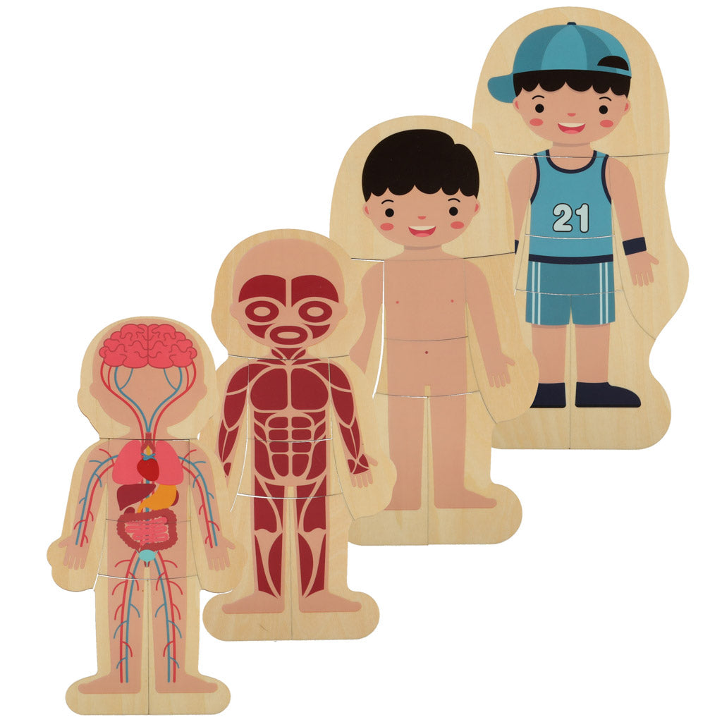 Koka puzle "Cilvēka uzbūve", zēns