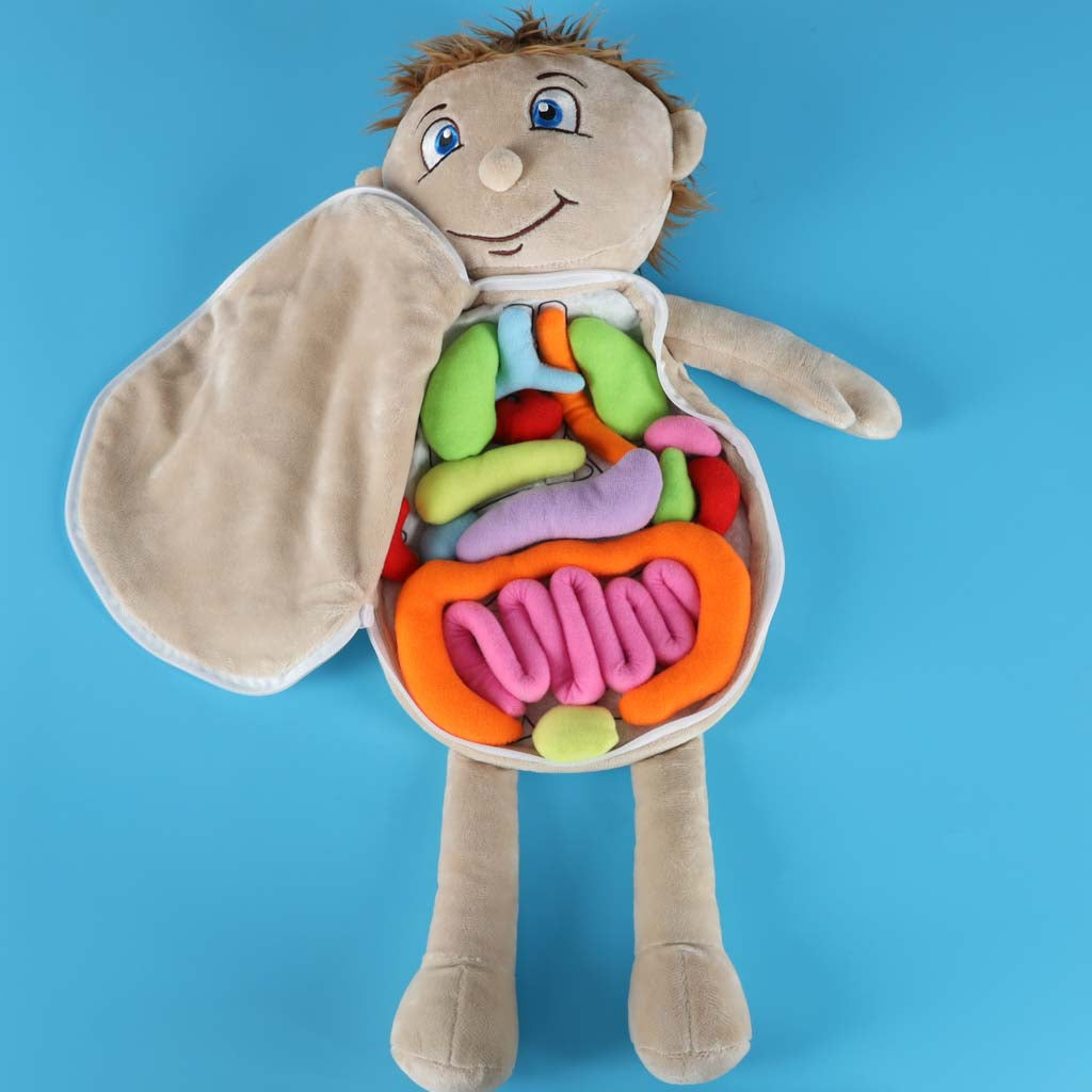 Izglītojoša anatomijas lelle “Cilvēka ķermenis”, zēns