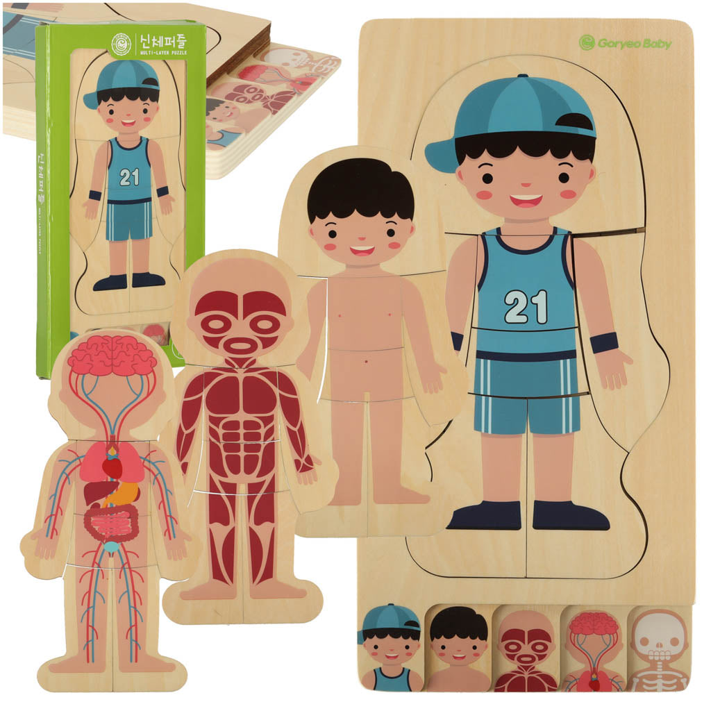 Koka puzle "Cilvēka uzbūve", zēns