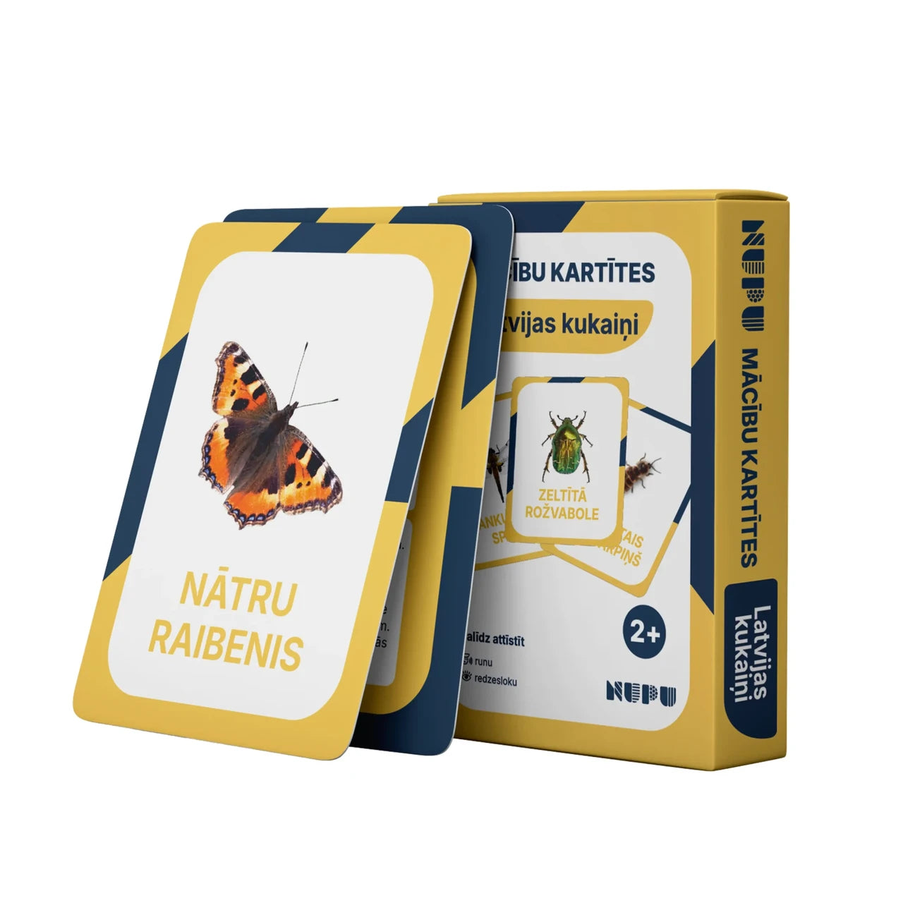 Mācību kartītes "Latvijas kukaiņi"