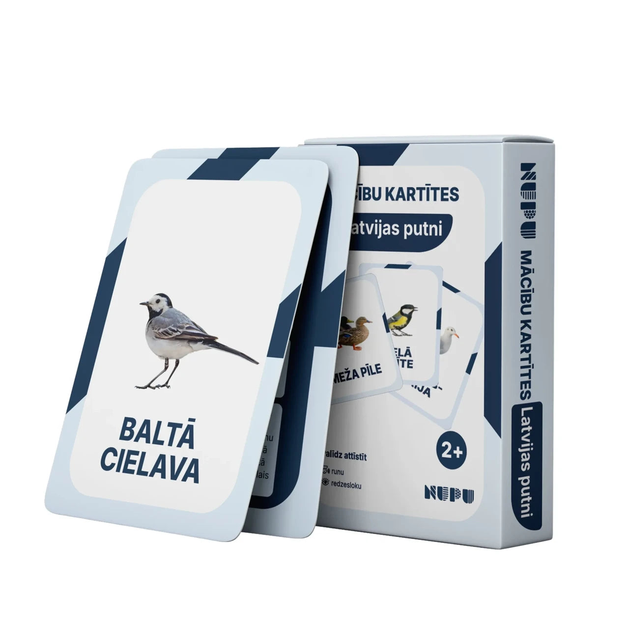 Mācību kartītes "Latvijas putni"