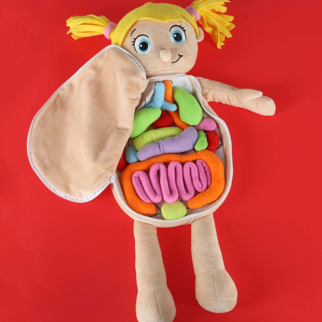 Izglītojoša anatomijas lelle "Cilvēka ķermenis", meitene