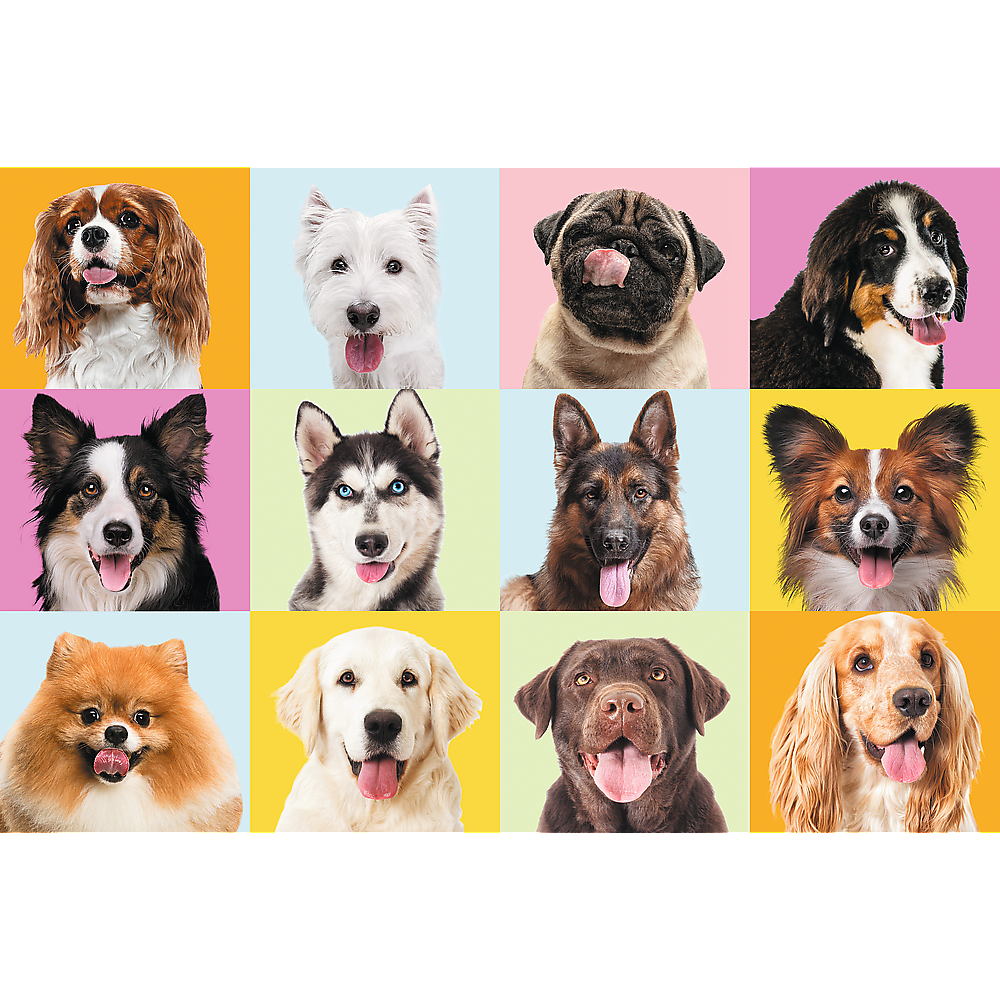 Puzle Trefl "Sunīši", 60 gab.